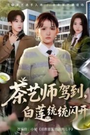 茶艺师驾到，白莲统统闪开