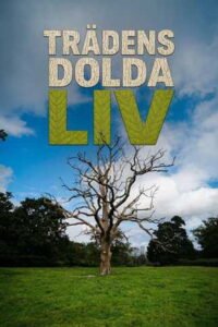 Trädens dolda liv